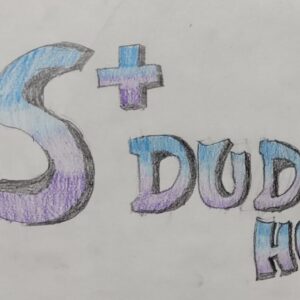 neues Logo für die RS+ ???