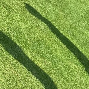 mit Schatten II - welche Station?
