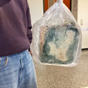 /// kurzes Break III - Fundstück nach den Ferien ///